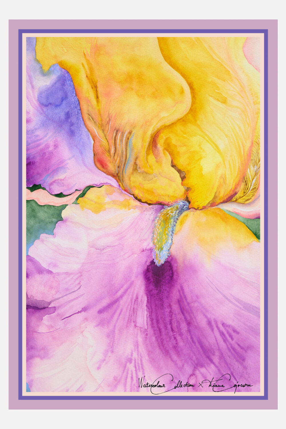 Duality Macro Iris 100 x 70 - dianacojocaru.ro
